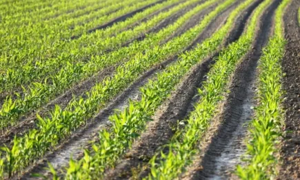 Затопляне, но отново валежи