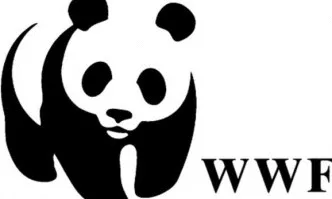 WWF: Климатът на Земята има нужда от по-високи политически амбиции