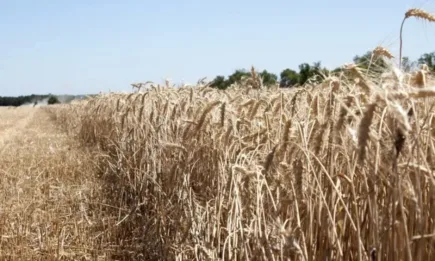 Обзор на Софийска стокова борса АД за период от 11 - 14.10.2022 г.