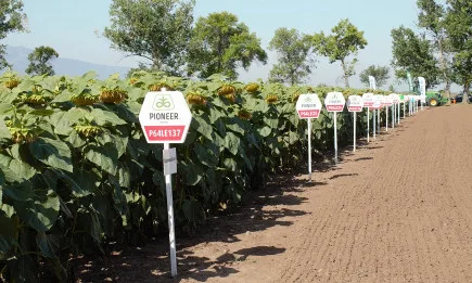 Живко и Борислав Балчеви: Хибридите на Corteva Agriscience™ ни спасиха през тежката 2020 година!