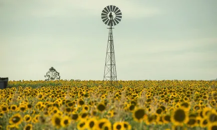 Преговорите между Украйна и Русия свалиха цените на световните борси