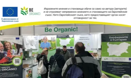 Знаем ли ползите на био храната?