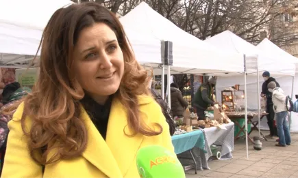 Светлана Боянова: У нас не се обсъжда как ще се прилага стратегията 