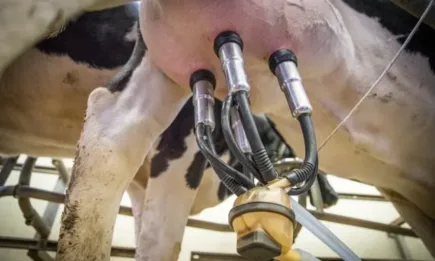 Животновъдите получиха над 120 млн. лeва по обвързана подкрепа за Кампания 2022