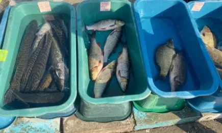 Служители на ИАРА съставиха акт на системен нарушител