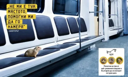 Три застрашени вида търсят земя под заКрила