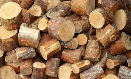 128 акта за нарушения съставиха служителите от регионалните дирекции по горите за последната седмица