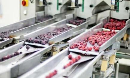 С над 20 млн. лева се увеличава бюджетът по подмярка 4.2. Инвестиции в преработка/маркетинг на селскостопански продукти