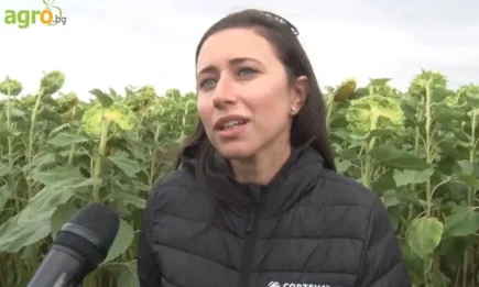 Край село Езерче: Образцово земеделие, качествена технология, високодобивна селекция