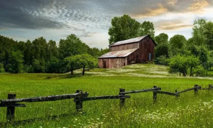 САЩ утрояват парите за екологично селско стопанство