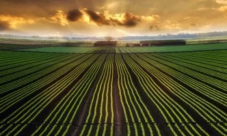 Селскостопанското производство в ЕС расте с 0,6%