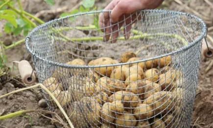 Германия с нова стратегия за стимулиране на пазара