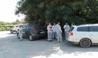 Бедствено положение в Плевен и Разград заради разпространението на АЧС