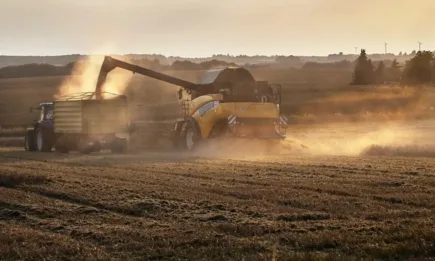 От 500 до 700 килограма от декар са добивите от пшеница и ечемик в Силистренско