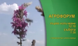 Гледайте в Агрофорум: Защо изграждането на поливни системи у нас се бави