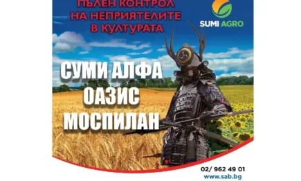 Не позволявайте на неприятелите в рапица и житни да редуцират добивите