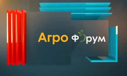 В АГРОФОРУМ: Достатъчни стимули ли се предвиждат за биопроизводителите през новия програмен период