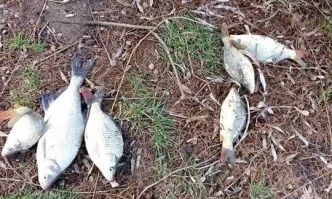 Проверки на Рибарство и контрол град Русе