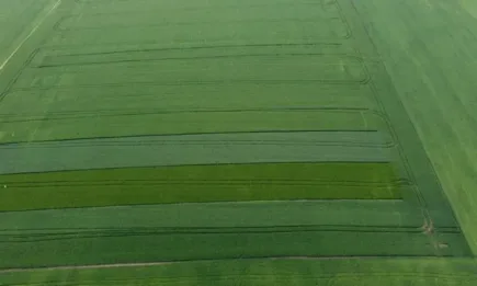 Каронте – отново на върха