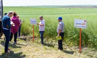 Решения за растителна защита от Ариста ЛайфСайънс