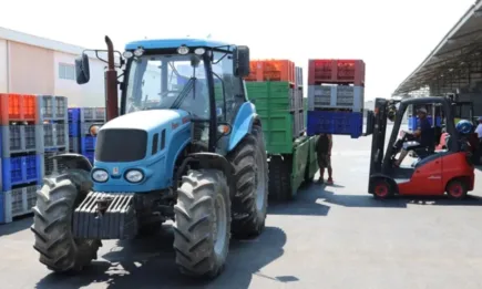 Цените на храните на едро в България поеха надолу през последните две седмици