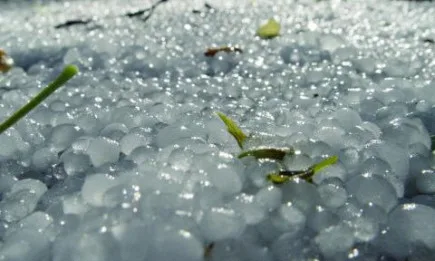 Разпределени са 2,8 млн. лв. по de minimis за стопаните с частично пропаднали площи oт градушката през 2021 г. в Пловдивско