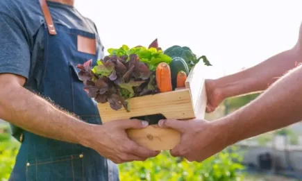 Фермерските храни – извън закона?