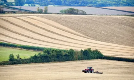 Спад за всички земеделски култури на световните борси
