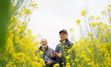 Рапицата Вестал CL в топ листата на Сембодиа