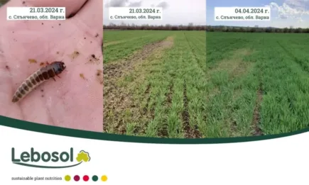 Поглед към полето