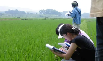 Биоплощите в Германия растат, броят на фермите намалява