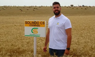 За сигурни добиви заложете на сигурни сортове