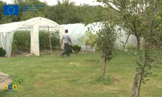 Тази седмица в предаването ОСП – от полза за всички нас: Как да разпознаем биологичните продукти