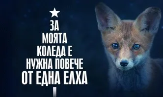 За моята Коледа е нужна повече от една елха