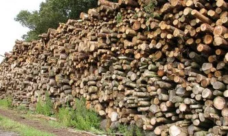 Агенцията по горите засилва контрола във връзка с периода на интензивно снабдяване с дърва за огрев