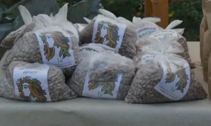 Индексът на тържищните цени в страната спада с 0,53 на сто тази седмица