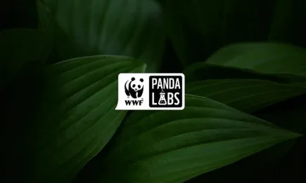 Panda Labs с нови идеи за бъдещето на мобилността