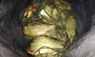 Мащабна акция на служителите от Рибарство и контрол Варна