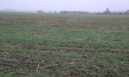 Седмична агрометеорологична прогноза 17.12. - 23. 12. 2021 г.