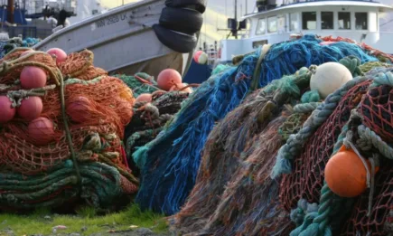 ЕП одобри споразумението с Мадагаскар