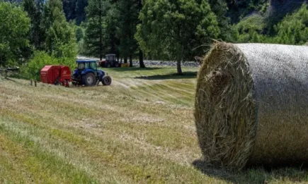 Фермерите в Австрия с плюс за първи път от 4 години