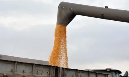 Унгария възнамерява да обяви национална забрана за украинския внос, ако ЕК не удължи мораториума след 15 септември