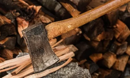 Регионална дирекция по горите - Пловдив с незабавна реакция след сигнал за незаконна сеч, нарушителят е задържан