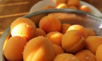 Стартира прием на проекти за инвестиции в техника за сектор Плодове и зеленчуци