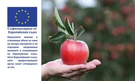 ДФЗ преведе по завишени ставки 51 млн. лева на биопроизводителите за Кампания 2022