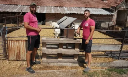 Братята Колчакови отглеждат и съхраняват Калоферската дългокосместа коза заради кукерството