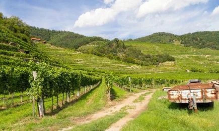 БАБ и НСБЛ се срещнаха със служебни министри