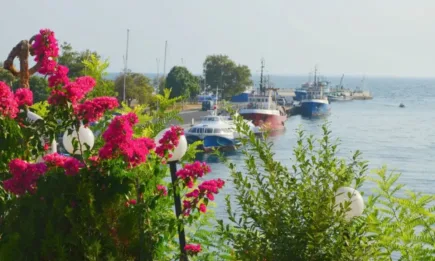 Преведени са над 1,3 млн. лева за модернизиране на рибарските общини и бизнес