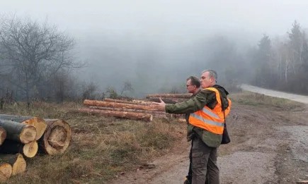 Над 4300 проверки са извършени от държавните горски предприятия и ИАГ в последните 4 дни