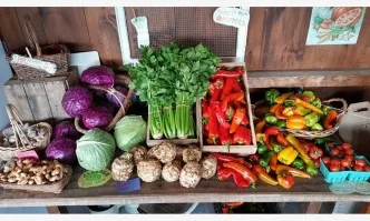 Зелените в Европарламента искат по-хуманно отношение на животните и по-малко консумиране на месо в Европа